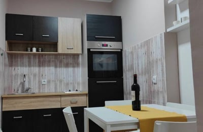 Miete einer möblierten 2-Zimmer-Wohnung, 60 m², Belgrad, Serbien